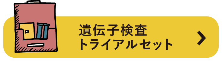 トライアルセット